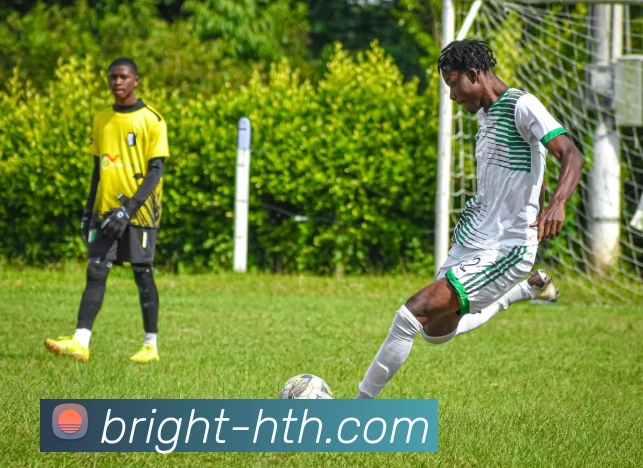 App Interface Preview