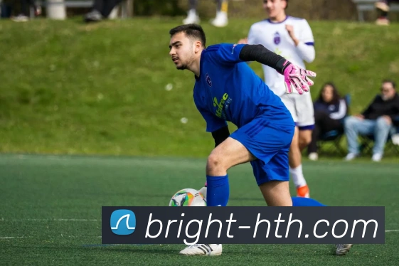 hth体育APP 封面图